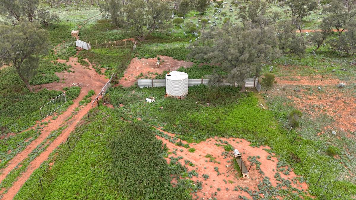 'Mazar Station' 6494 Netley Road, Broken Hill For Sale by Farmbuy.com - image 15