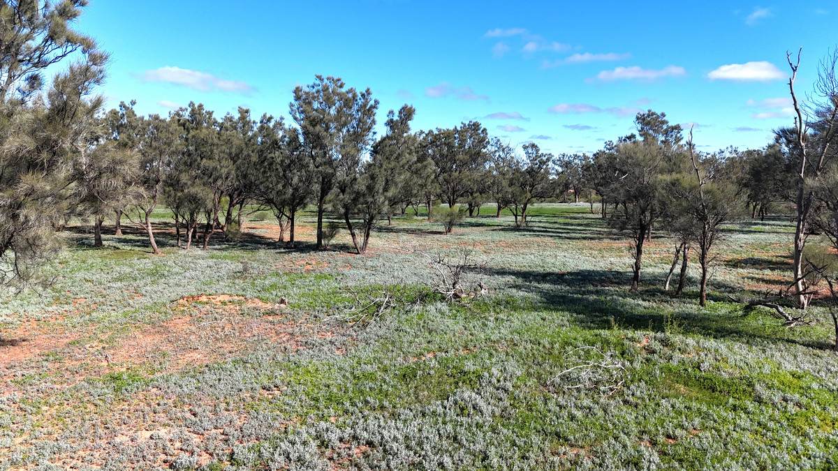 'Mazar Station' 6494 Netley Road, Broken Hill For Sale by Farmbuy.com - image 5