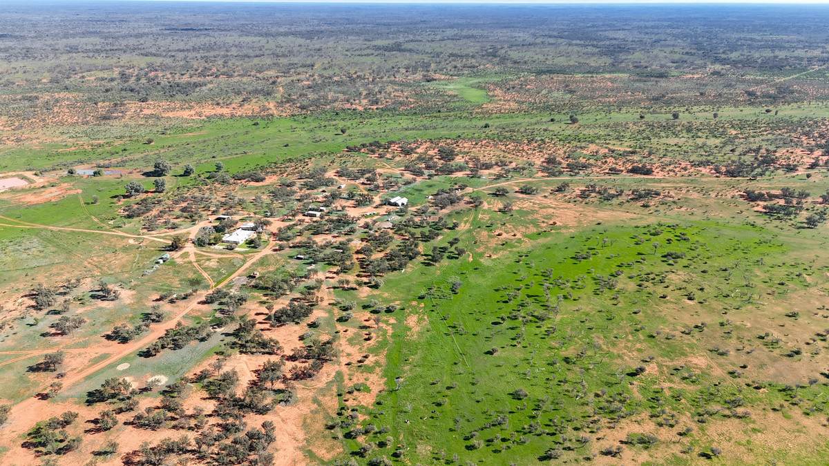 'Mazar Station' 6494 Netley Road, Broken Hill For Sale by Farmbuy.com - image 7