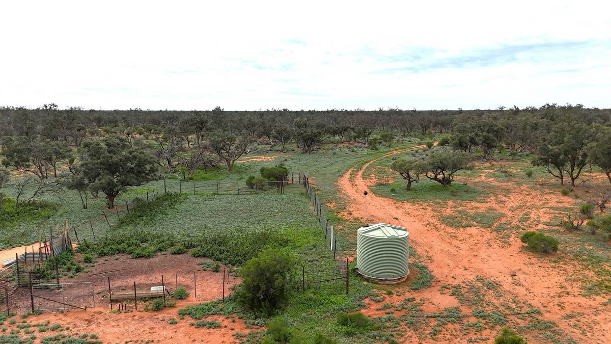 'Mazar Station' 6494 Netley Road, Broken Hill For Sale by Farmbuy.com - image 16