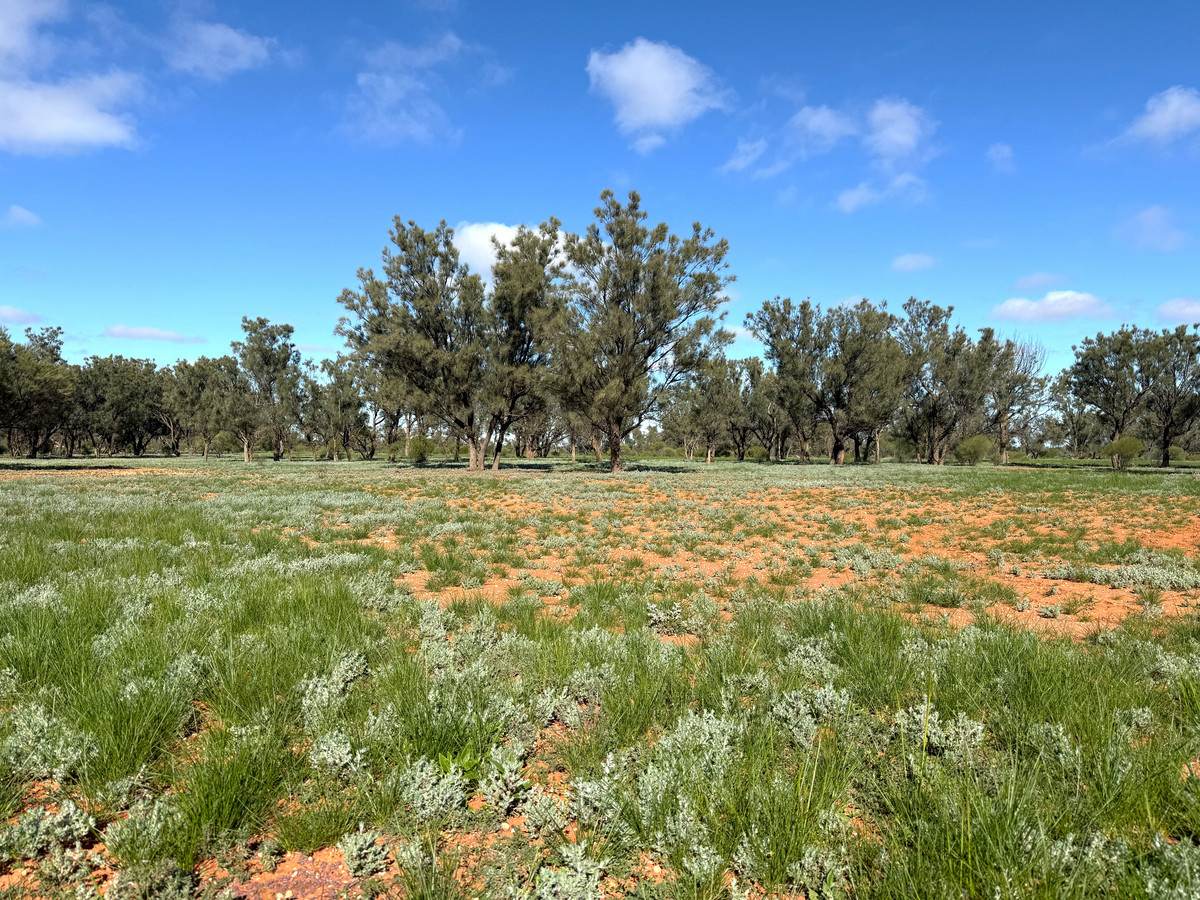 'Mazar Station' 6494 Netley Road, Broken Hill For Sale by Farmbuy.com - image 33