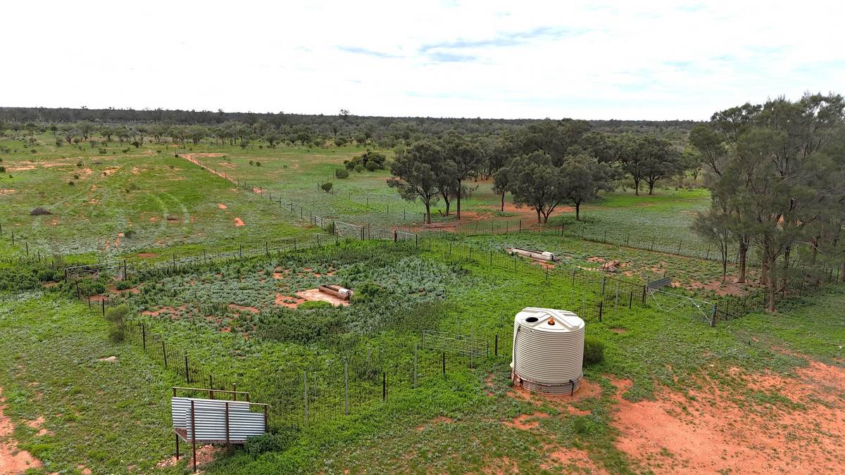 'Mazar Station' 6494 Netley Road, Broken Hill For Sale by Farmbuy.com - image 13