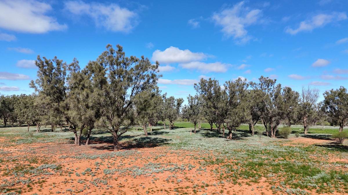 'Mazar Station' 6494 Netley Road, Broken Hill For Sale by Farmbuy.com - image 30