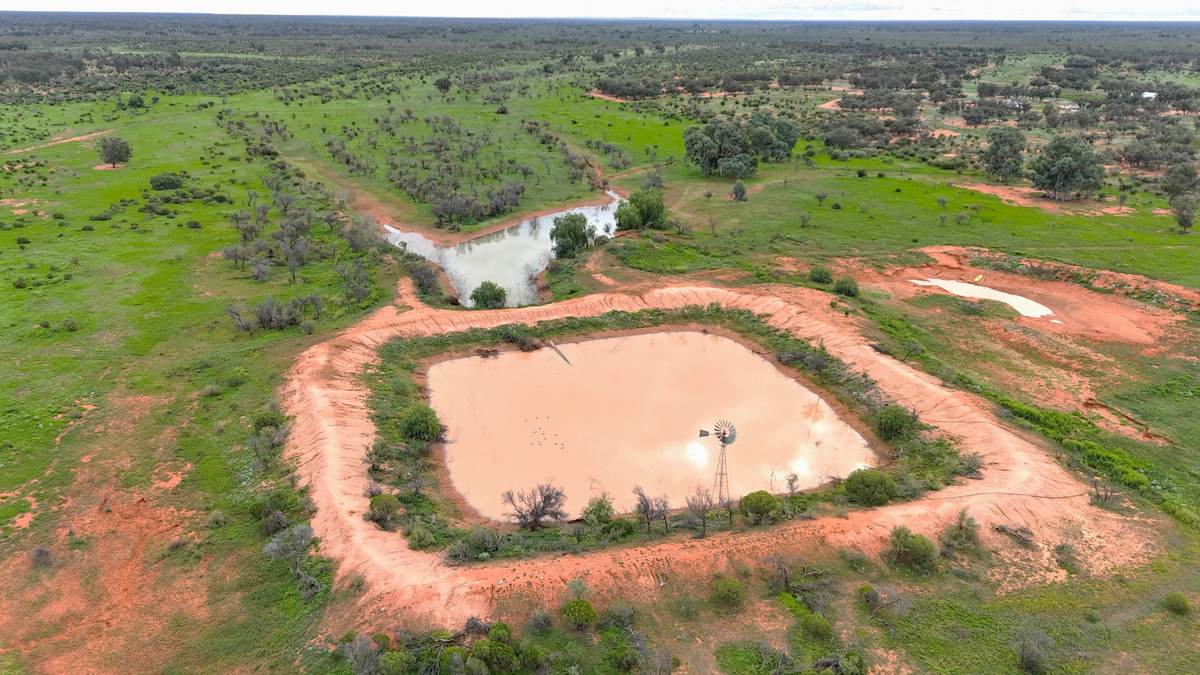 'Mazar Station' 6494 Netley Road, Broken Hill For Sale by Farmbuy.com - image 11