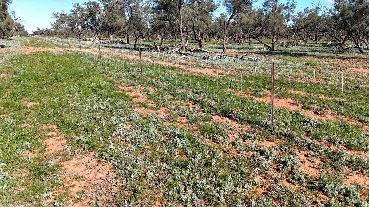 'Mazar Station' 6494 Netley Road, Broken Hill For Sale by Farmbuy.com - image 23
