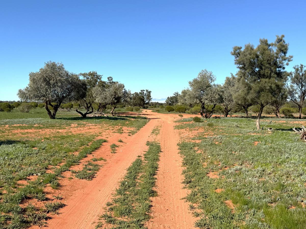 'Mazar Station' 6494 Netley Road, Broken Hill For Sale by Farmbuy.com - image 31