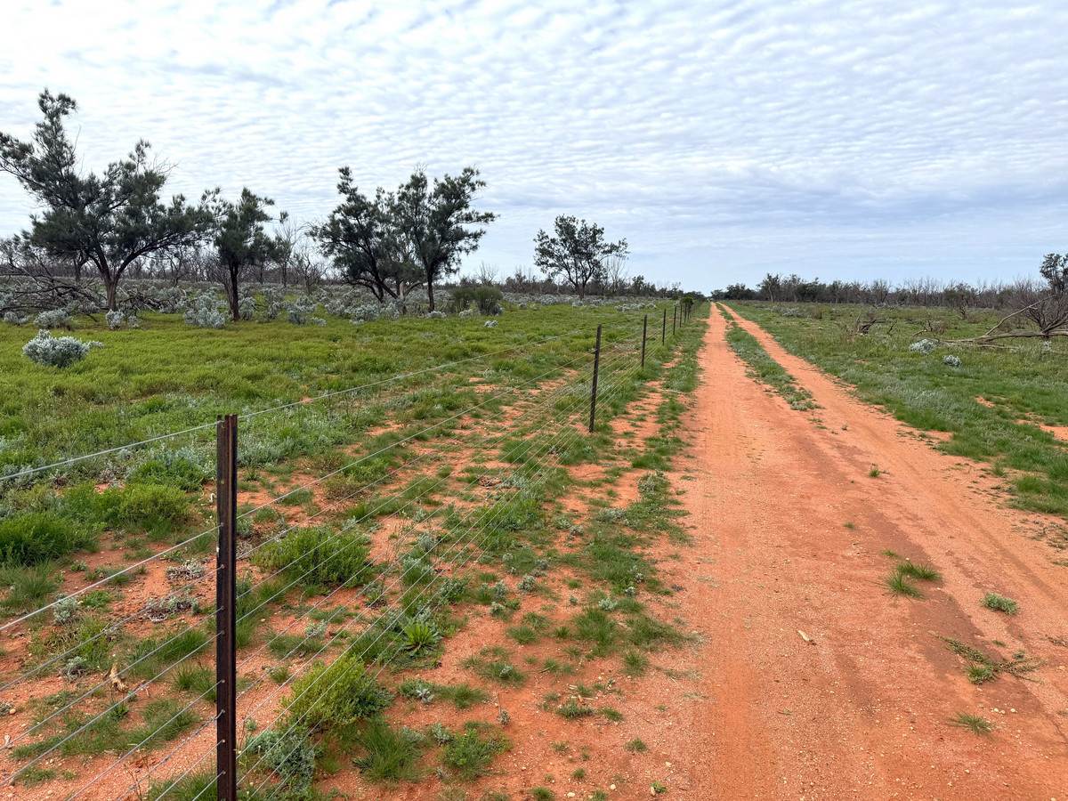 'Mazar Station' 6494 Netley Road, Broken Hill For Sale by Farmbuy.com - image 26