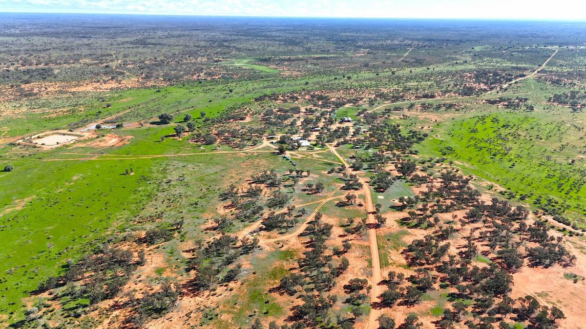 'Mazar Station' 6494 Netley Road, Broken Hill For Sale by Farmbuy.com - image 6