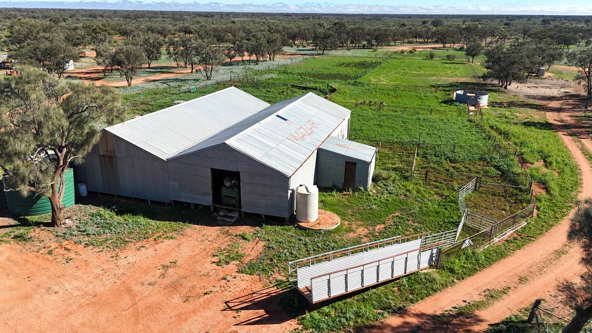 'Mazar Station' 6494 Netley Road, Broken Hill For Sale by Farmbuy.com - image 20