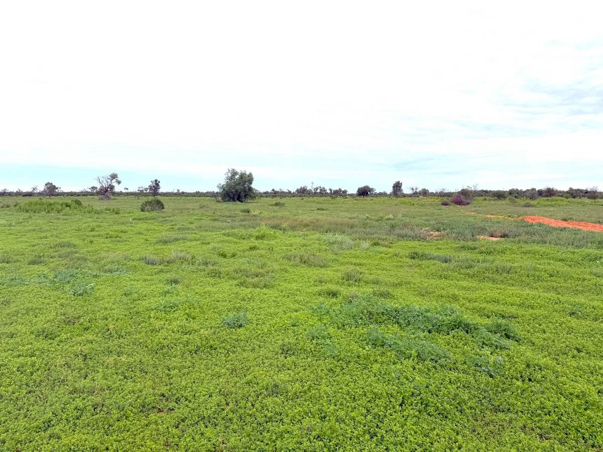 'Mazar Station' 6494 Netley Road, Broken Hill For Sale by Farmbuy.com - image 32