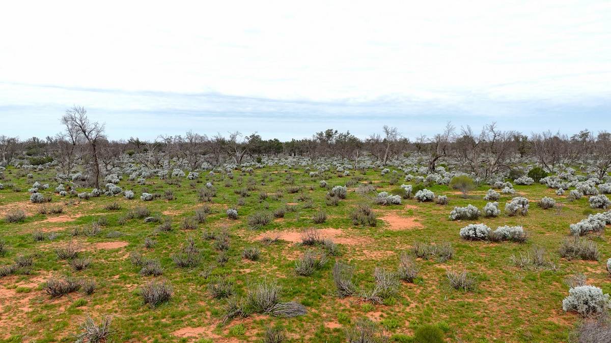 'Mazar Station' 6494 Netley Road, Broken Hill For Sale by Farmbuy.com - image 28