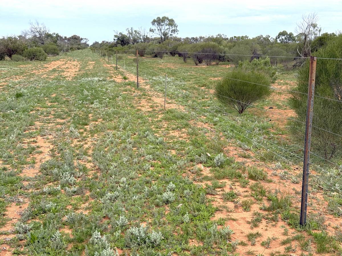 'Mazar Station' 6494 Netley Road, Broken Hill For Sale by Farmbuy.com - image 24