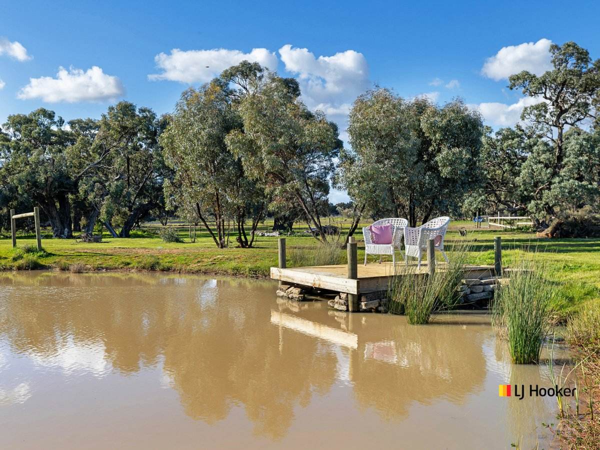 1121 Murray Valley Highway Wharparilla, Echuca For Sale by Farmbuy.com - image 3