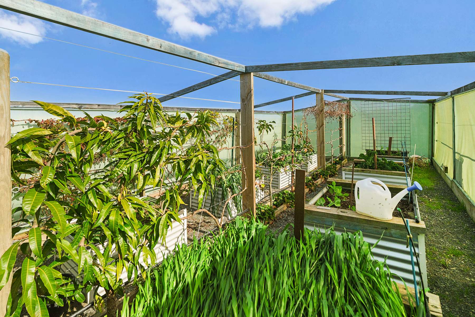 1620 Ebsworth Road, Glen Martin For Sale by Farmbuy.com - image 25