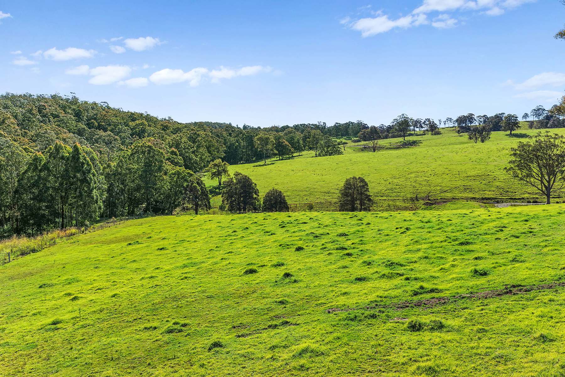 1620 Ebsworth Road, Glen Martin For Sale by Farmbuy.com - image 30