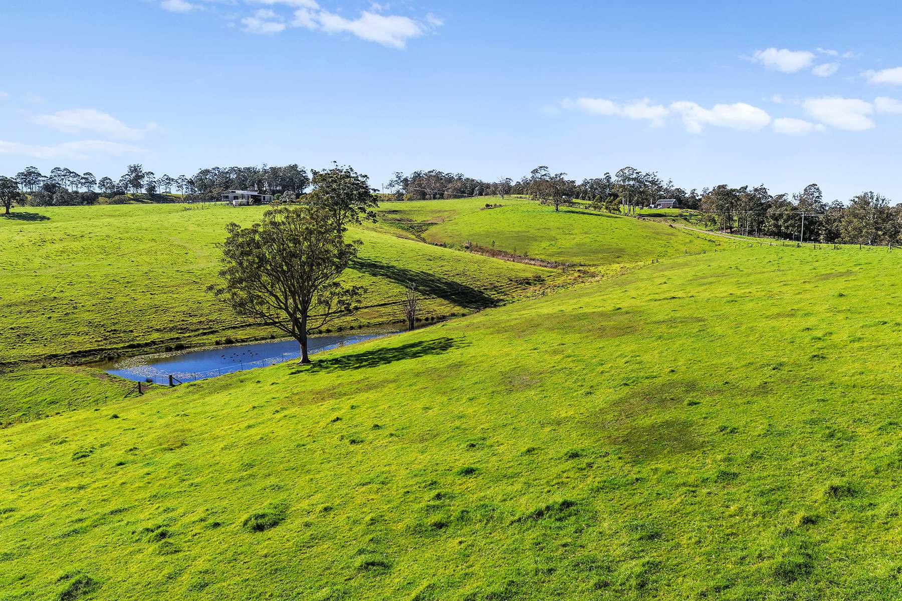 1620 Ebsworth Road, Glen Martin For Sale by Farmbuy.com - image 29