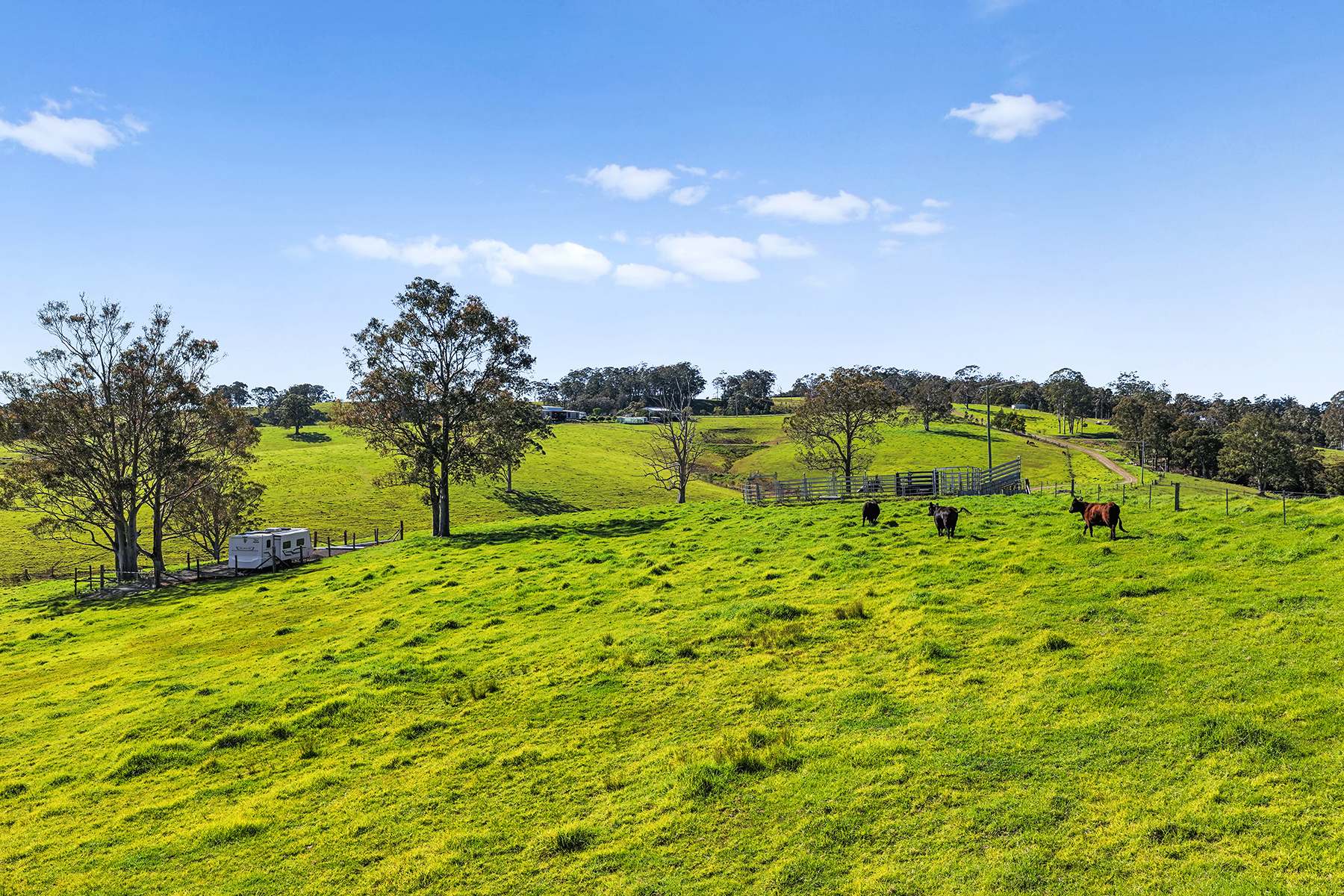 1620 Ebsworth Road, Glen Martin For Sale by Farmbuy.com - image 31