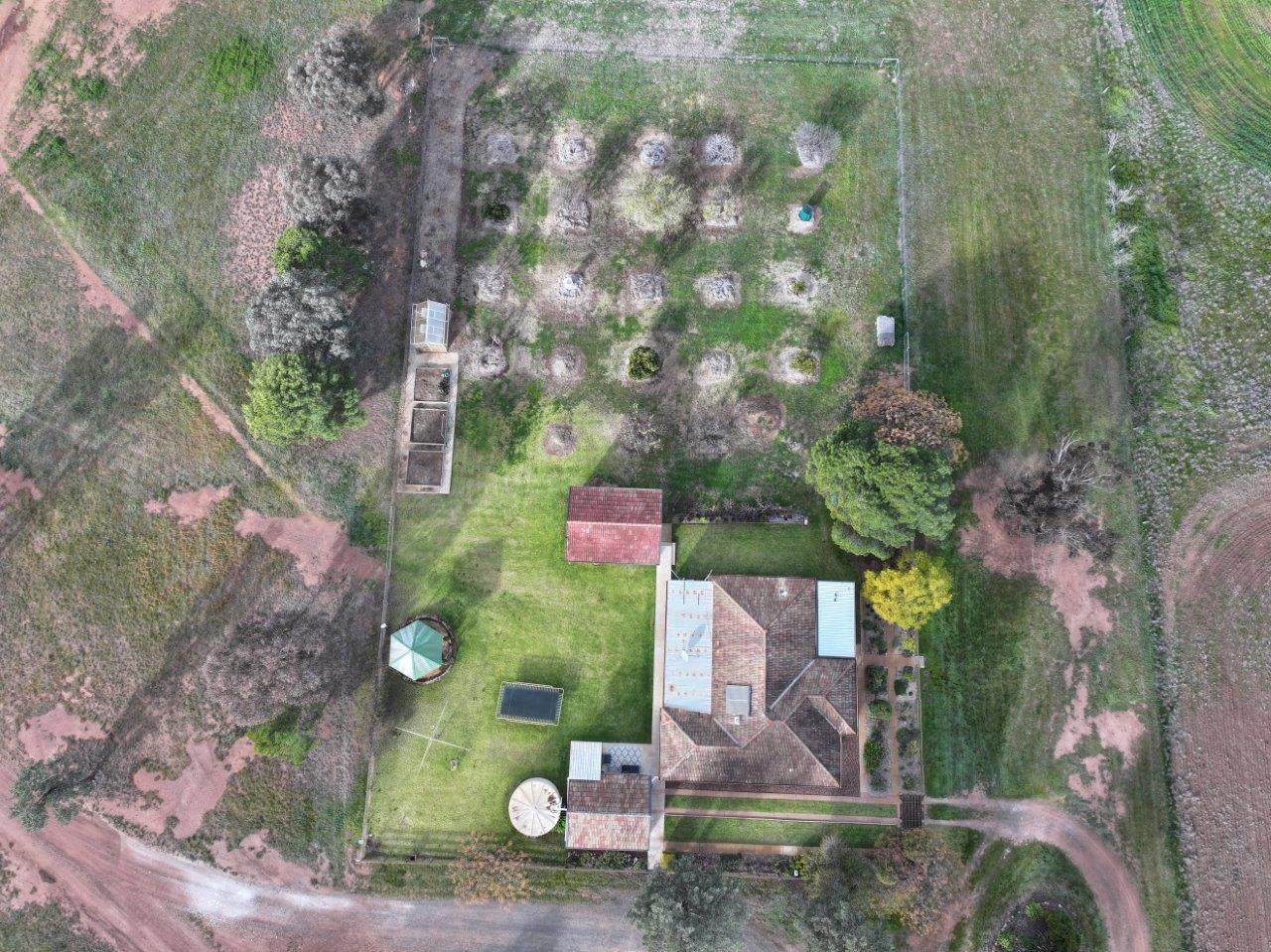 'Glenell' 2131 Lewes Road, Tallimba For Sale by Farmbuy.com - image 2