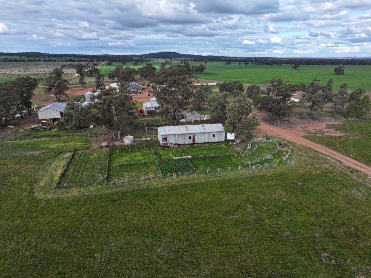 'Glenell' 2131 Lewes Road, Tallimba For Sale by Farmbuy.com - image 12