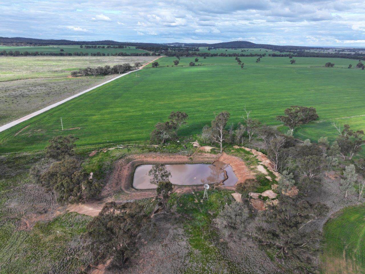 'Glenell' 2131 Lewes Road, Tallimba For Sale by Farmbuy.com - image 5
