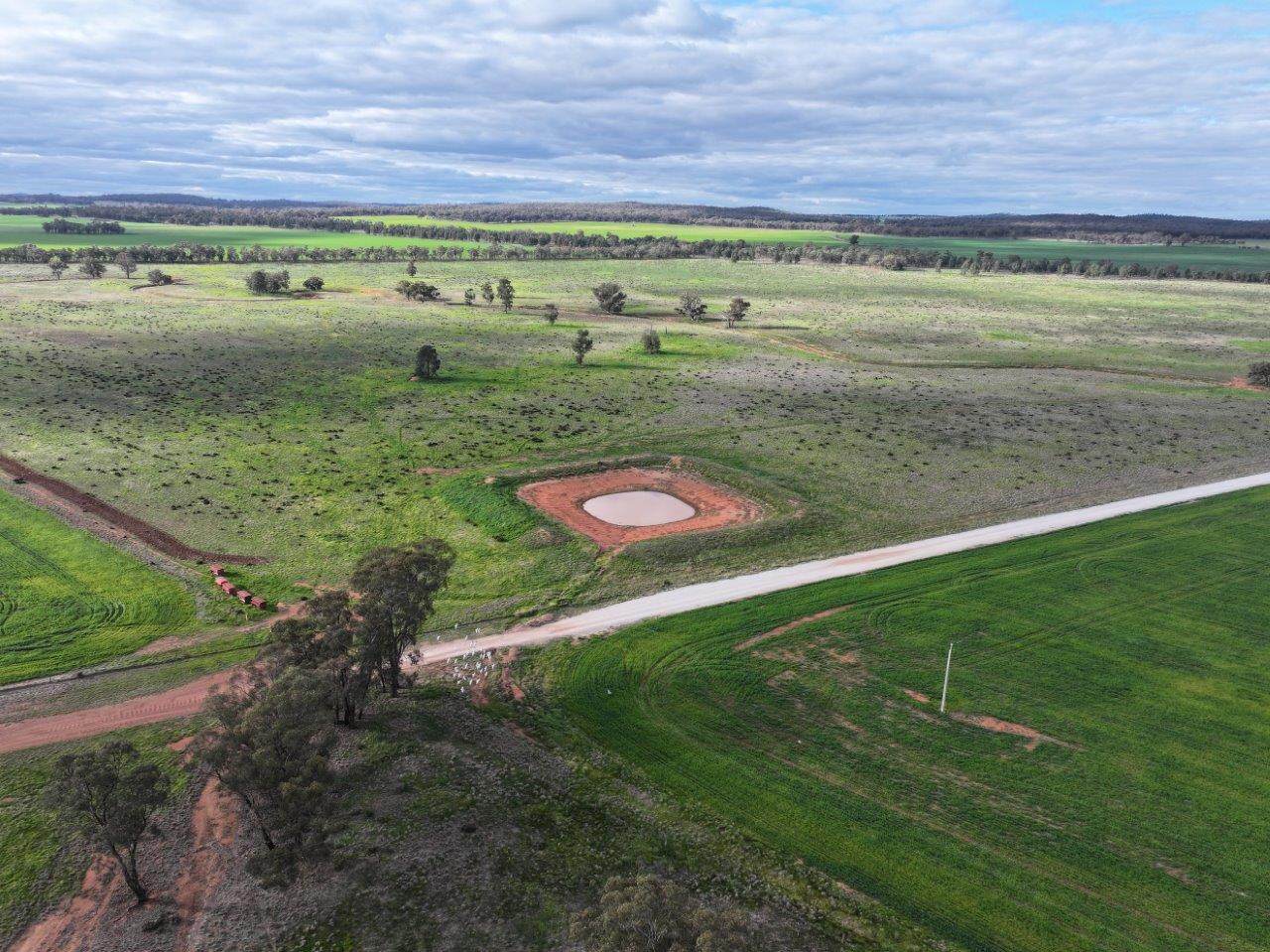 'Glenell' 2131 Lewes Road, Tallimba For Sale by Farmbuy.com - image 6