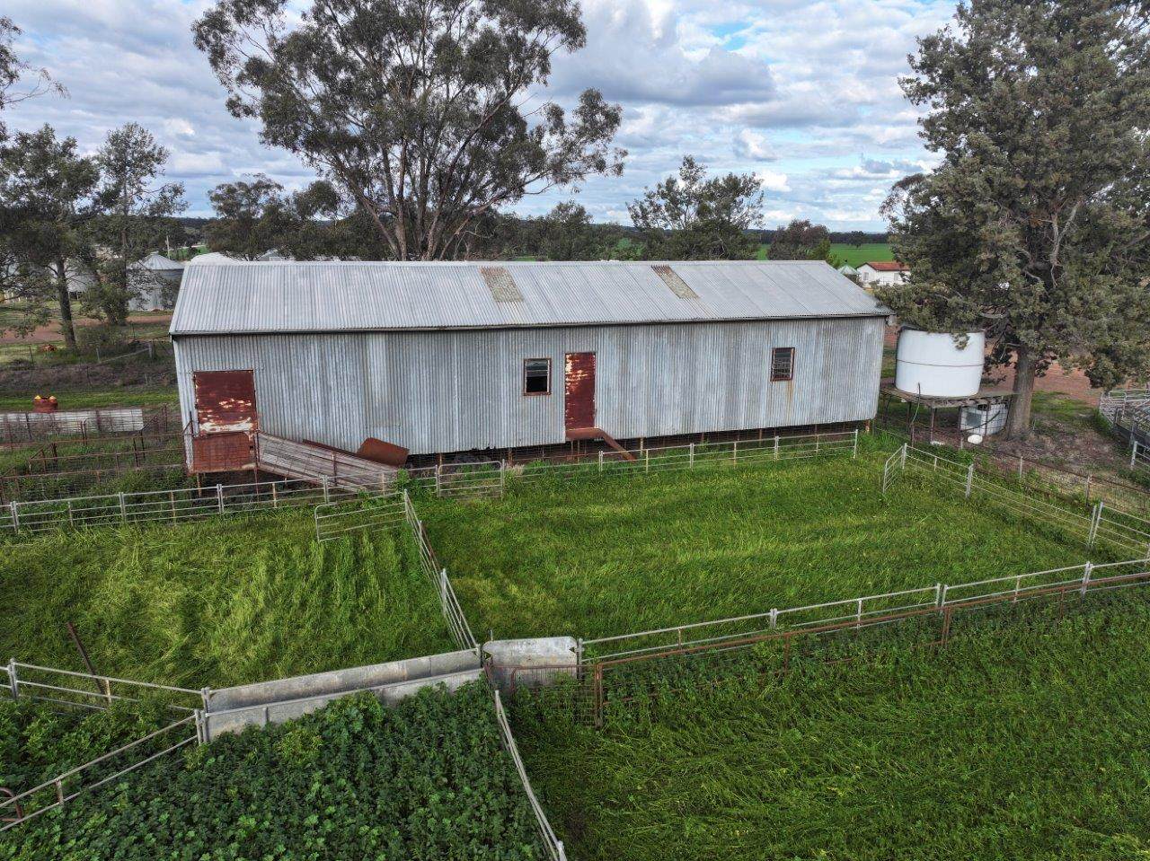 'Glenell' 2131 Lewes Road, Tallimba For Sale by Farmbuy.com - image 11
