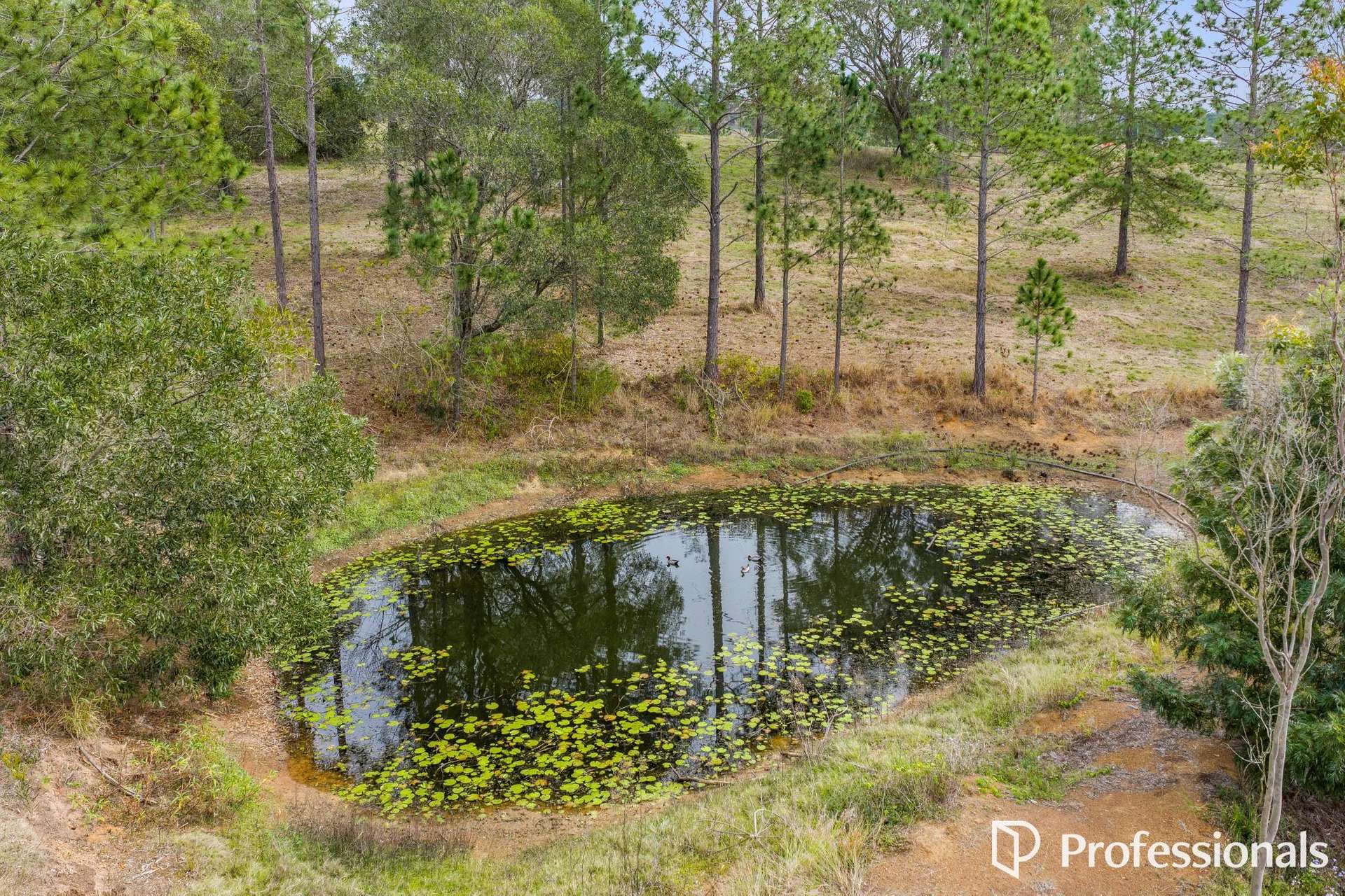 165 Lagoon Pocket Road, Lagoon Pocket For Sale by Farmbuy.com - image 29