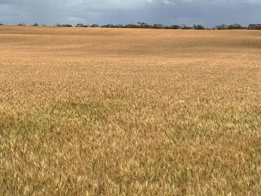 'Menzels' North Five Chain Road, Murrayville VIC 3512