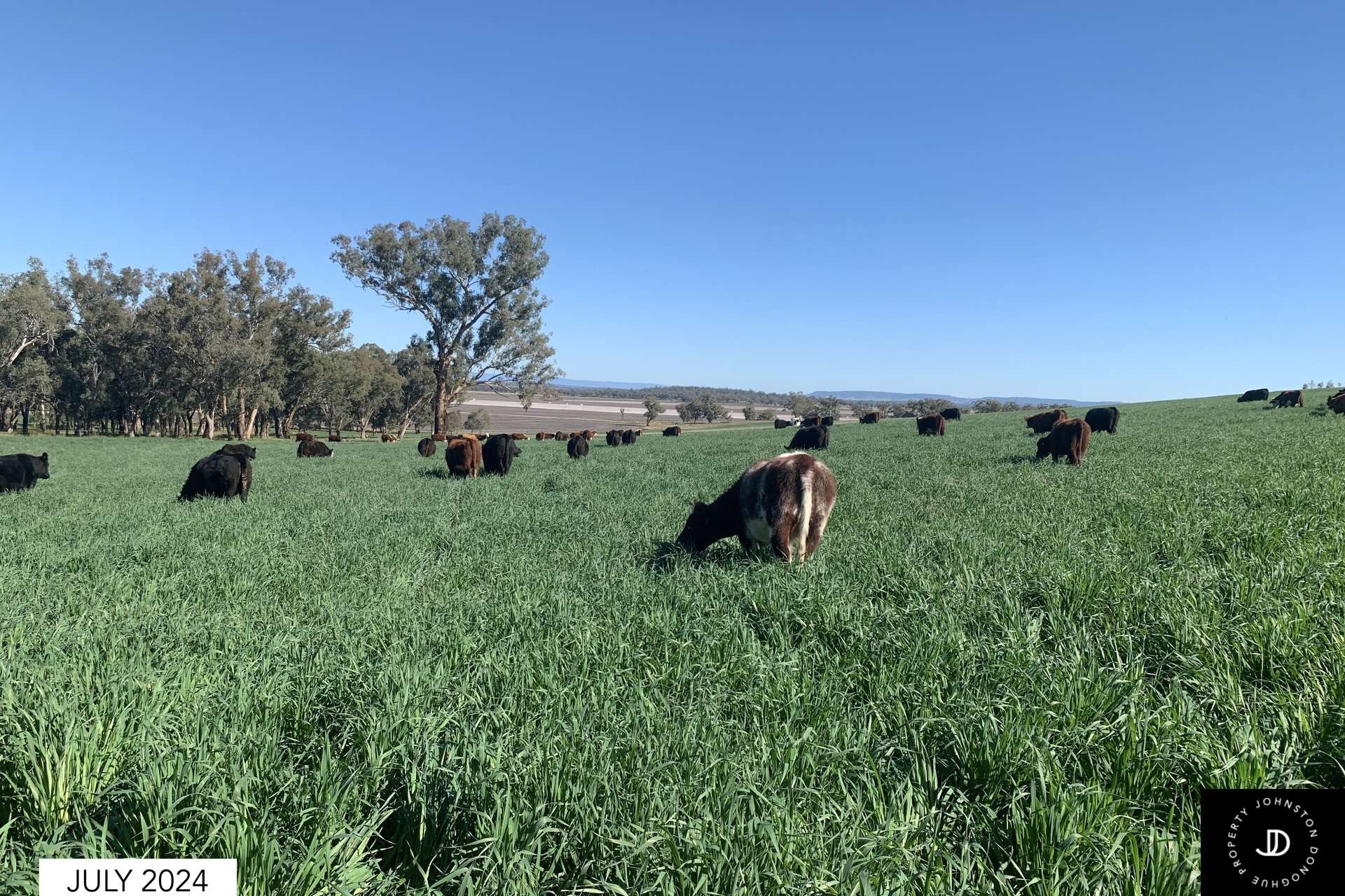 450 Warrah Ridge Road, Quirindi For Sale by Farmbuy.com - image 34