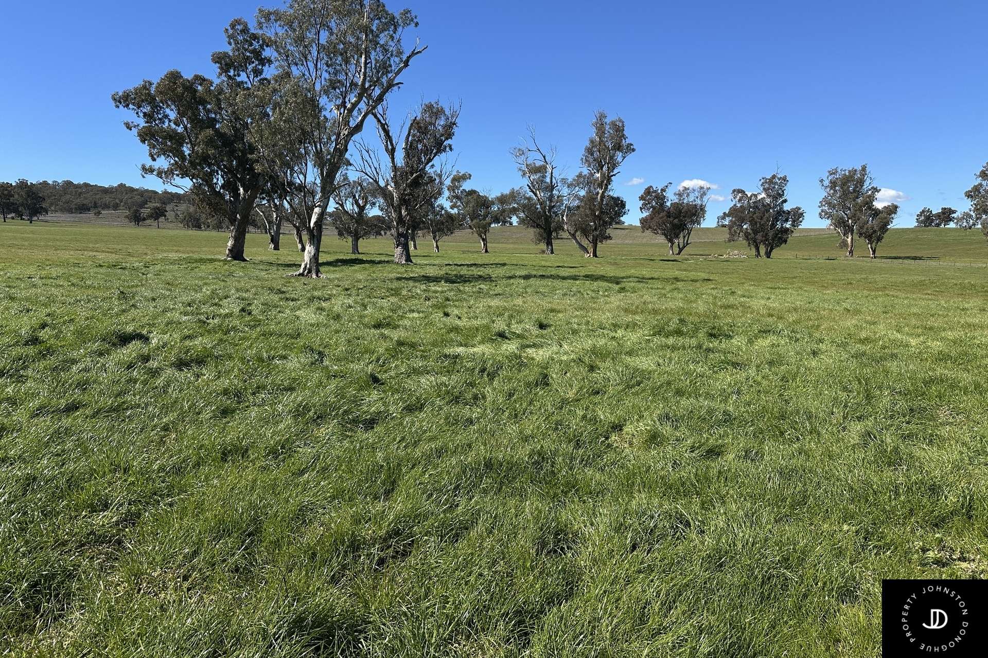 450 Warrah Ridge Road, Quirindi For Sale by Farmbuy.com - image 35