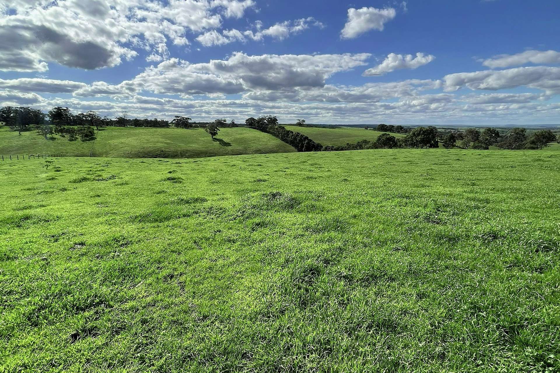 A21 Sunnydale Road, Strathalbyn For Sale by Farmbuy.com - image 5