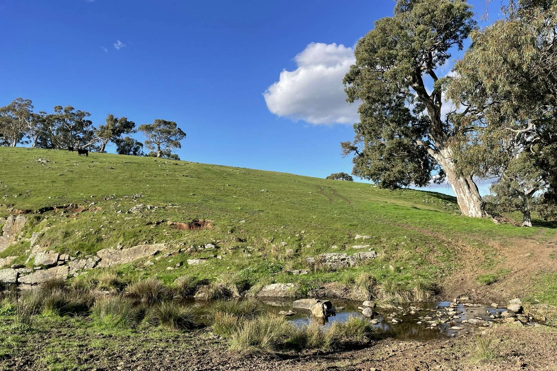 A21 Sunnydale Road, Strathalbyn For Sale by Farmbuy.com - image 28