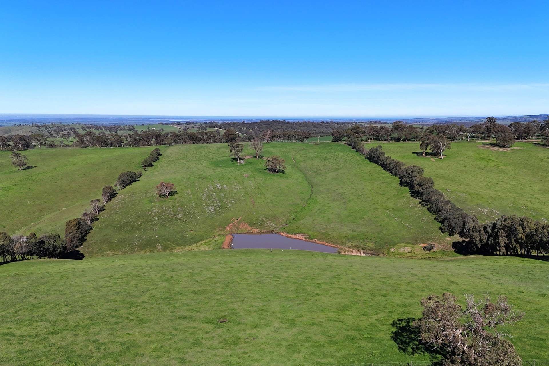 A21 Sunnydale Road, Strathalbyn For Sale by Farmbuy.com - image 22
