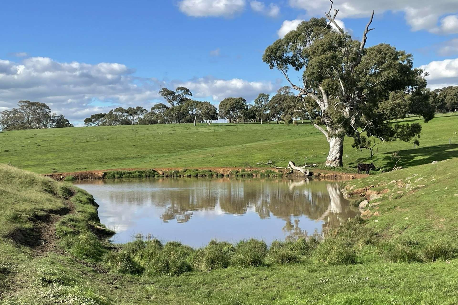 A21 Sunnydale Road, Strathalbyn For Sale by Farmbuy.com - image 20