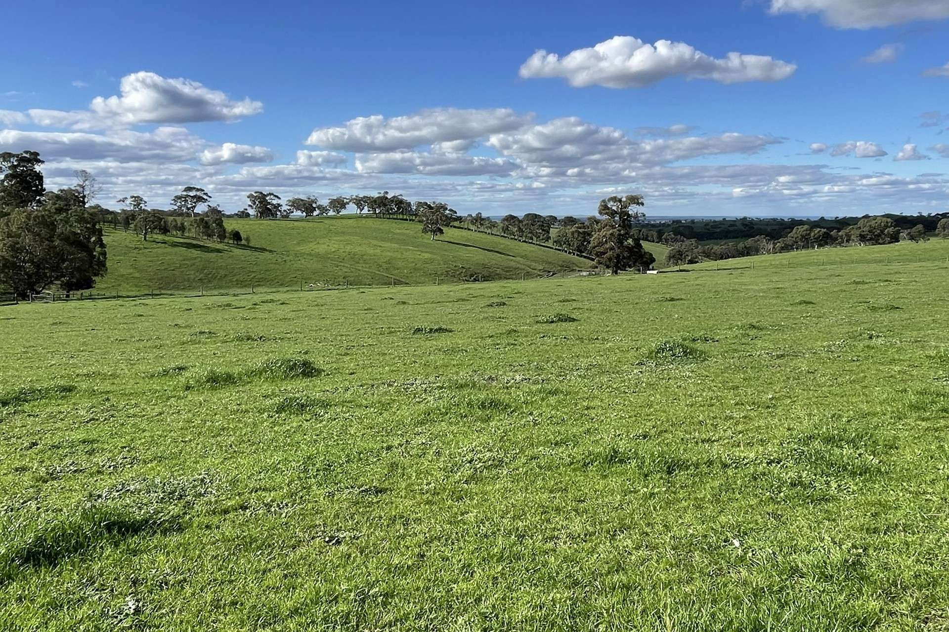 A21 Sunnydale Road, Strathalbyn For Sale by Farmbuy.com - image 8