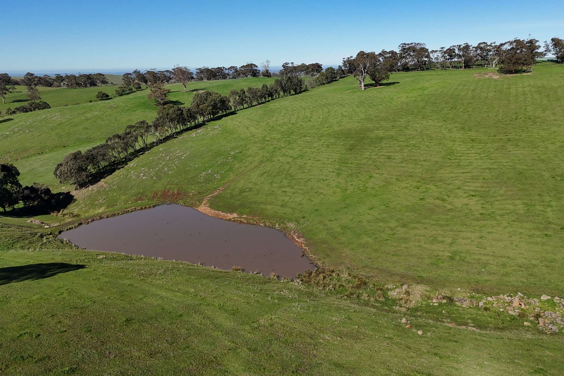A21 Sunnydale Road, Strathalbyn For Sale by Farmbuy.com - image 19