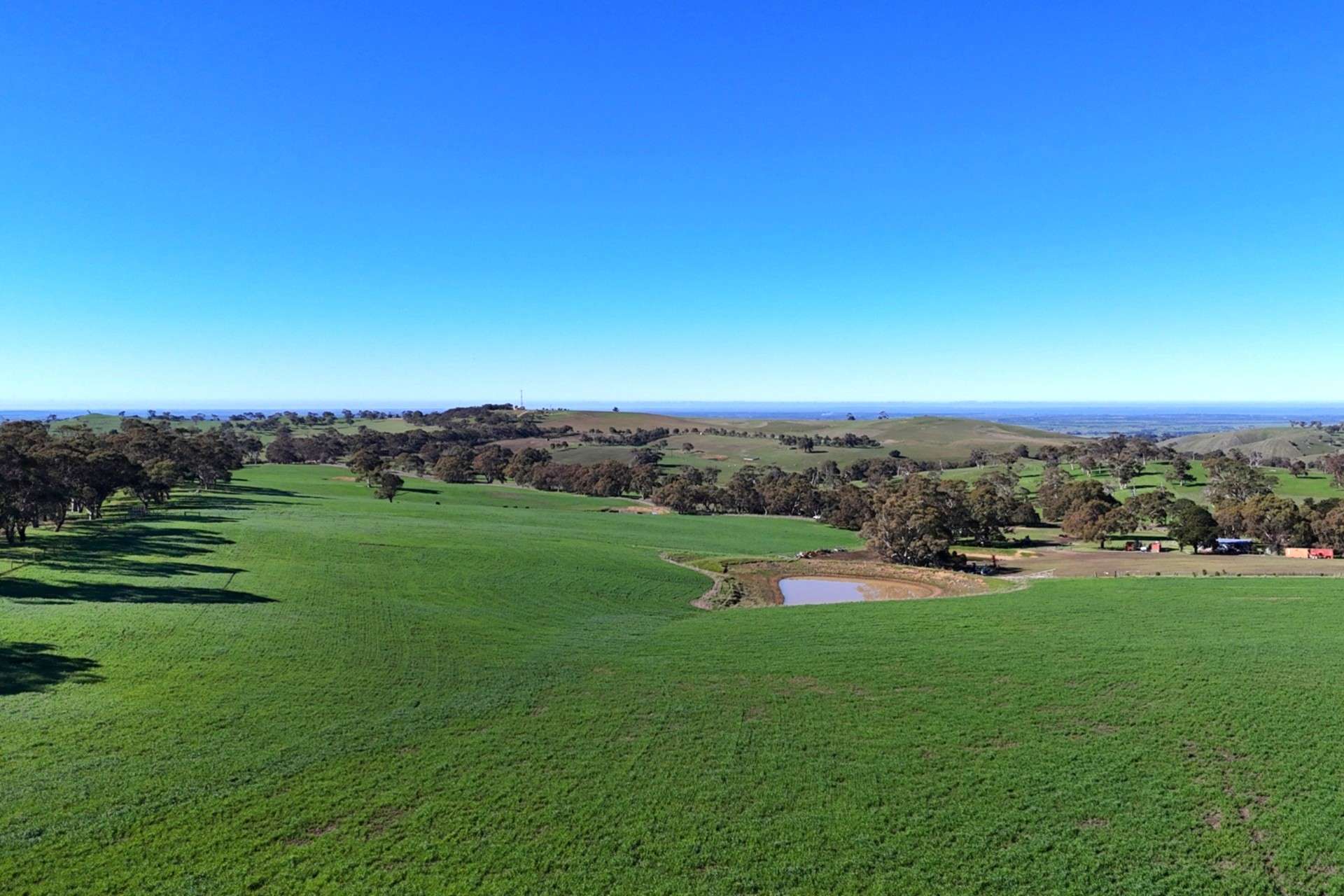 A21 Sunnydale Road, Strathalbyn For Sale by Farmbuy.com - image 9