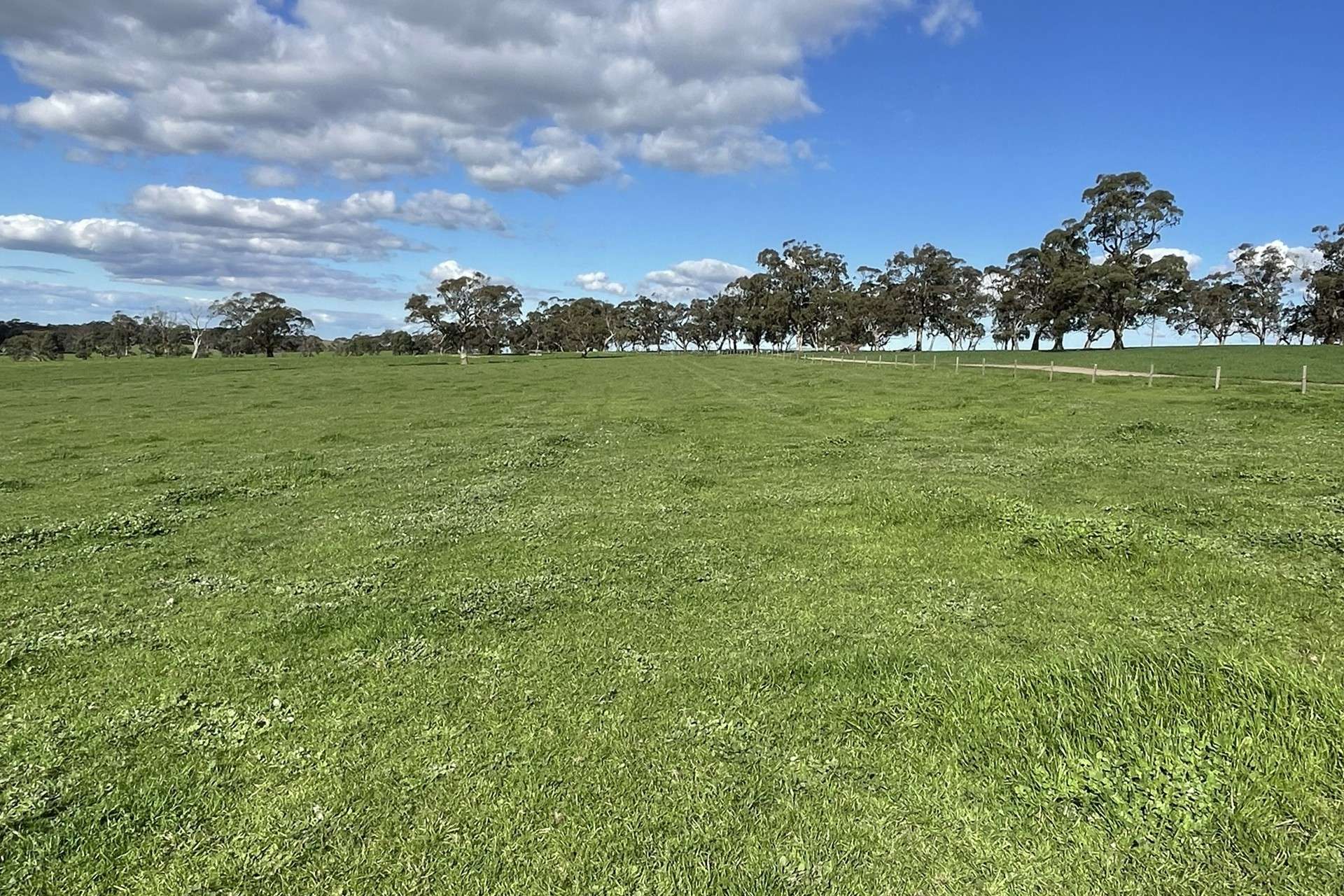 A21 Sunnydale Road, Strathalbyn For Sale by Farmbuy.com - image 3
