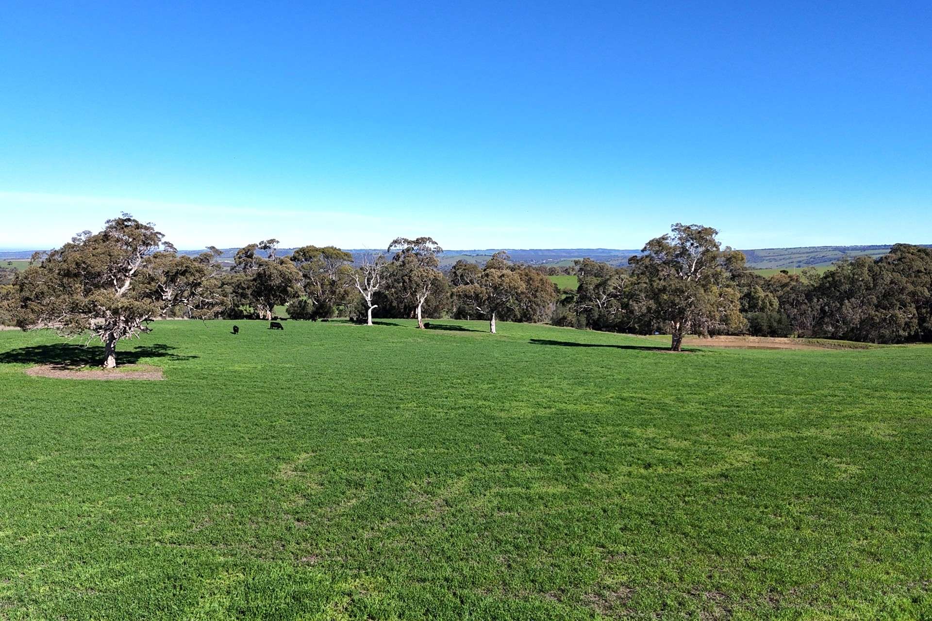 A21 Sunnydale Road, Strathalbyn For Sale by Farmbuy.com - image 11