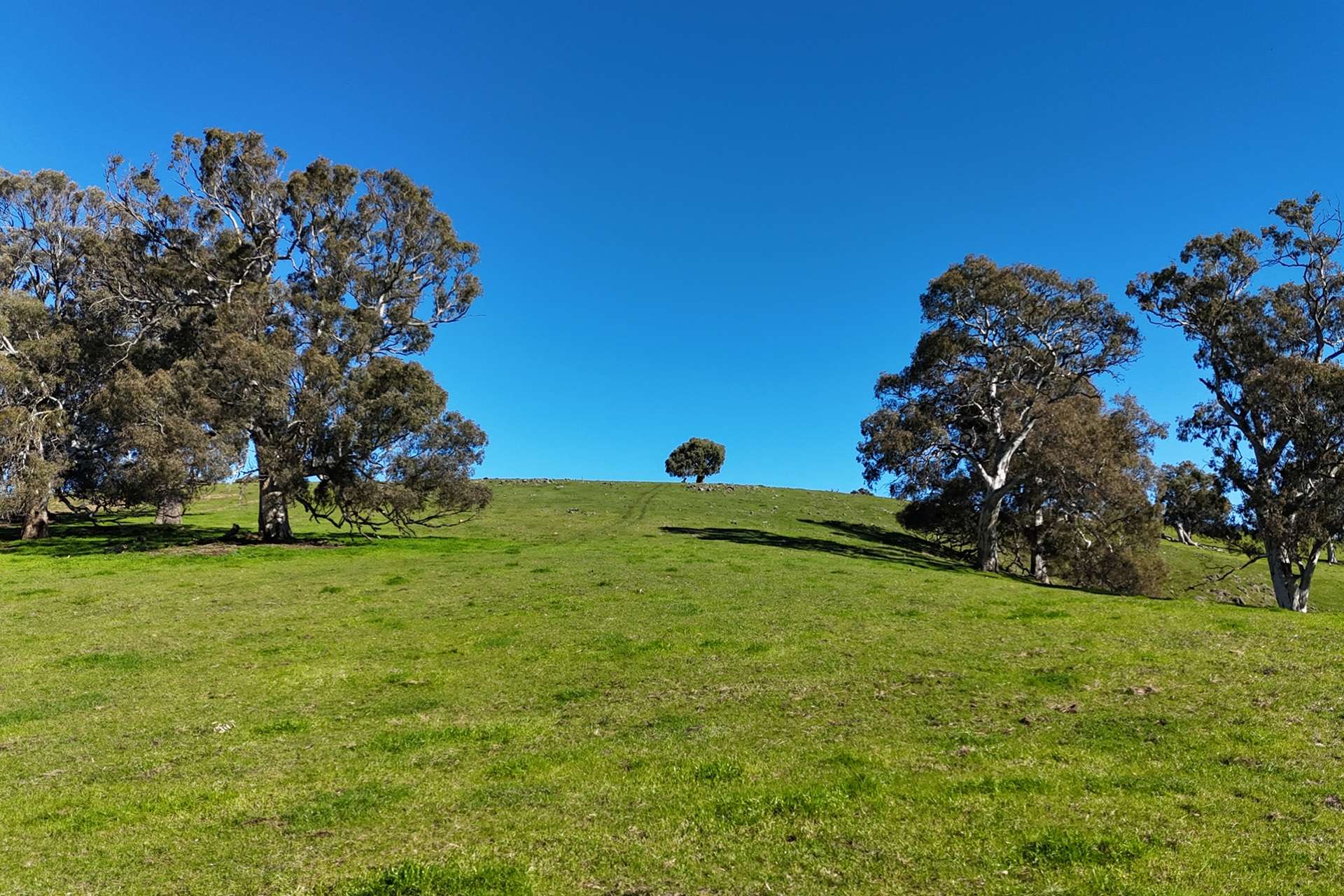 A21 Sunnydale Road, Strathalbyn For Sale by Farmbuy.com - image 24