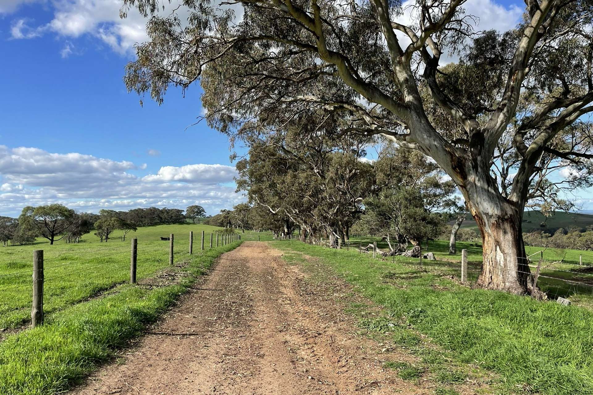 A21 Sunnydale Road, Strathalbyn For Sale by Farmbuy.com - image 7