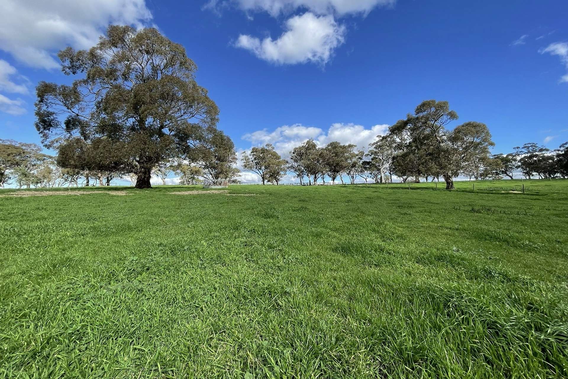 A21 Sunnydale Road, Strathalbyn For Sale by Farmbuy.com - image 4
