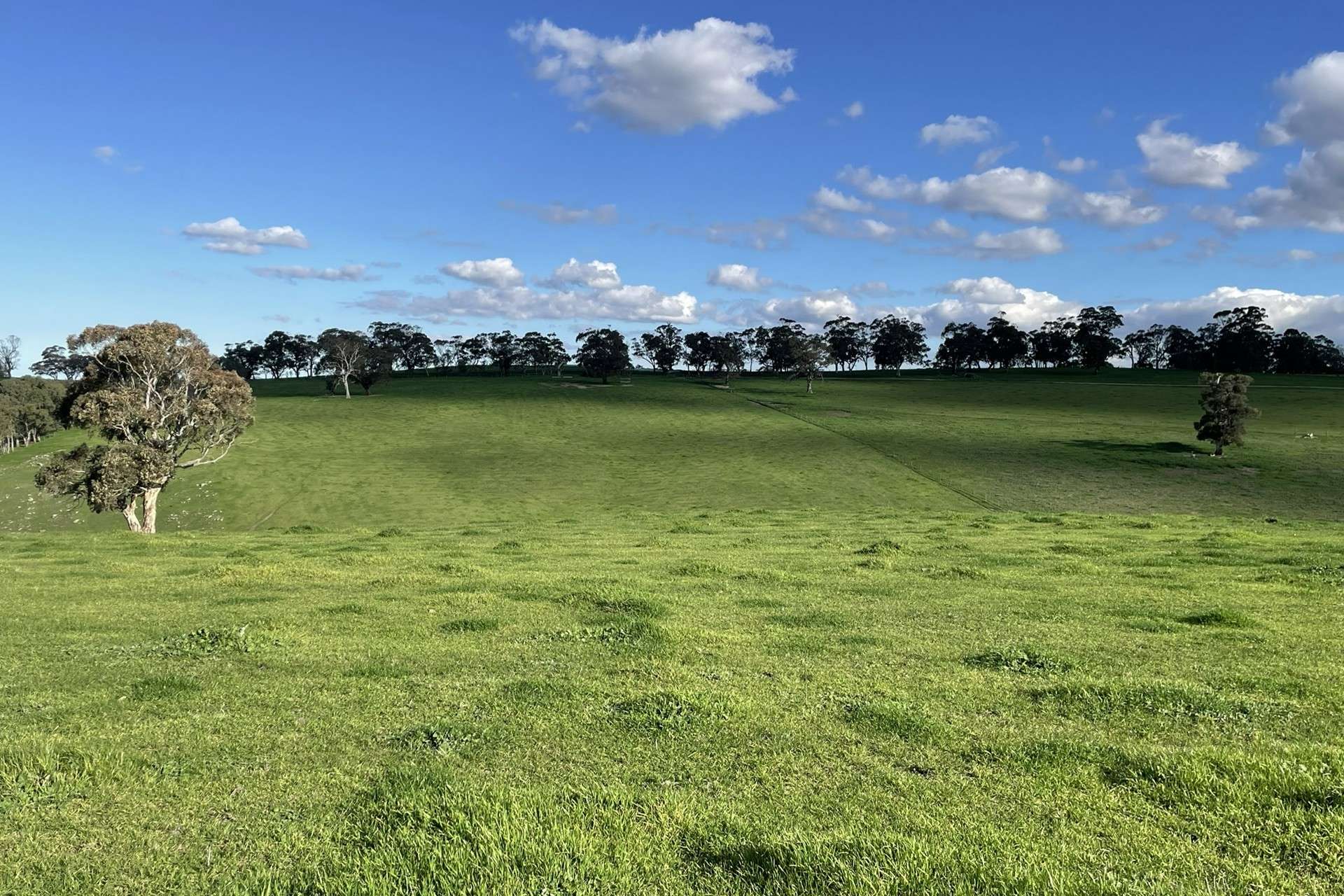 A21 Sunnydale Road, Strathalbyn For Sale by Farmbuy.com - image 26