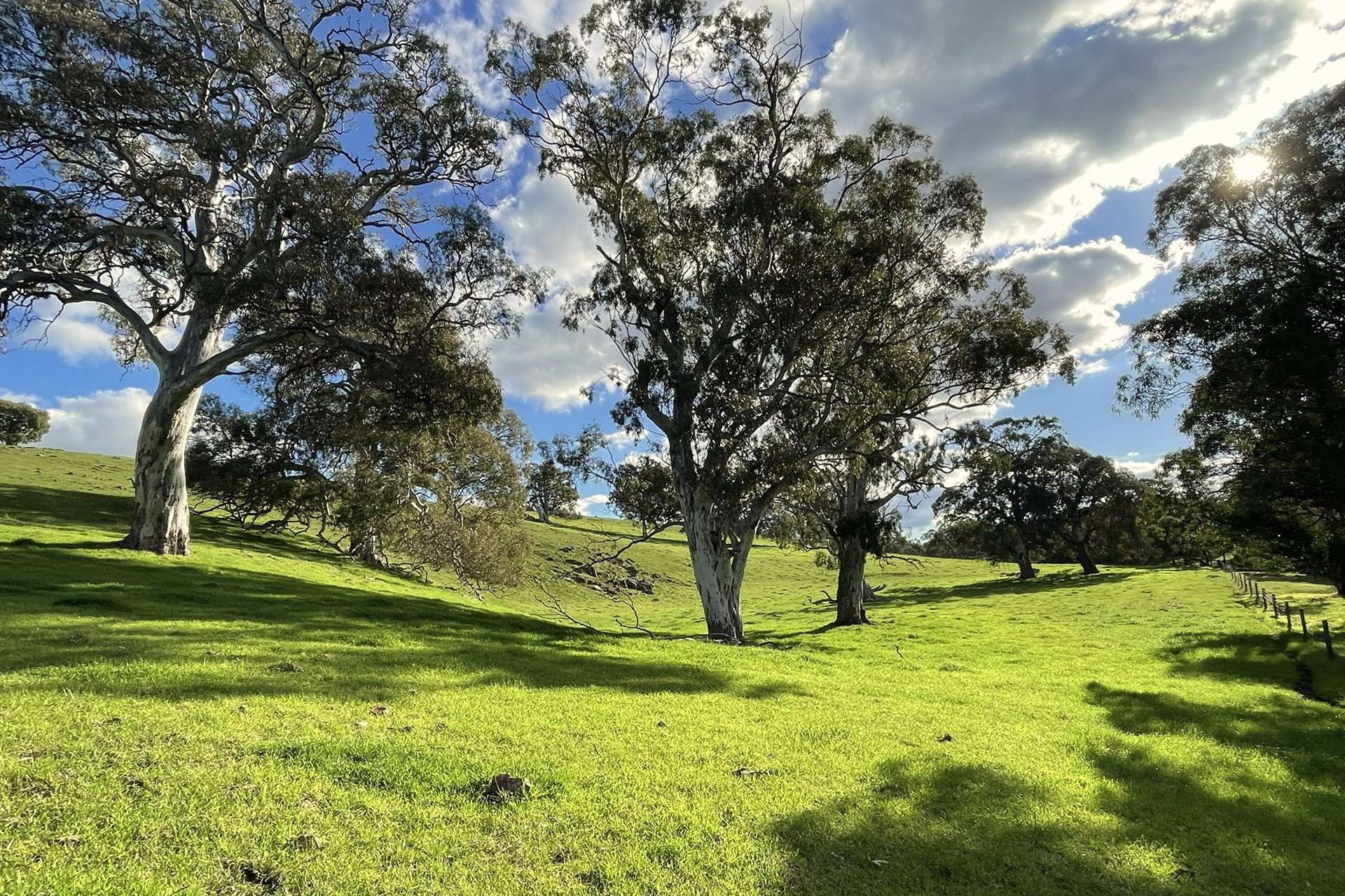 A21 Sunnydale Road, Strathalbyn For Sale by Farmbuy.com - image 29