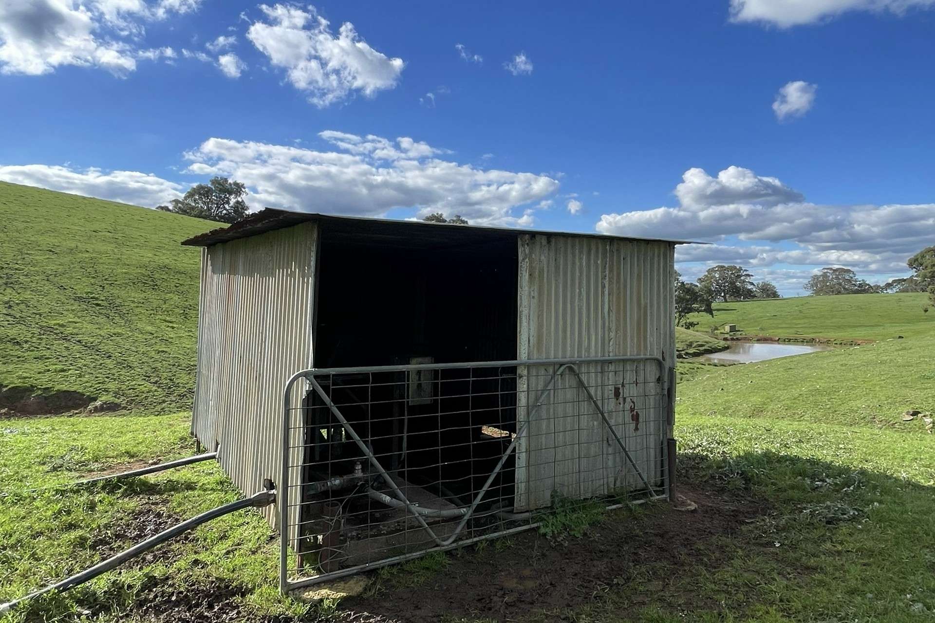 A21 Sunnydale Road, Strathalbyn For Sale by Farmbuy.com - image 16