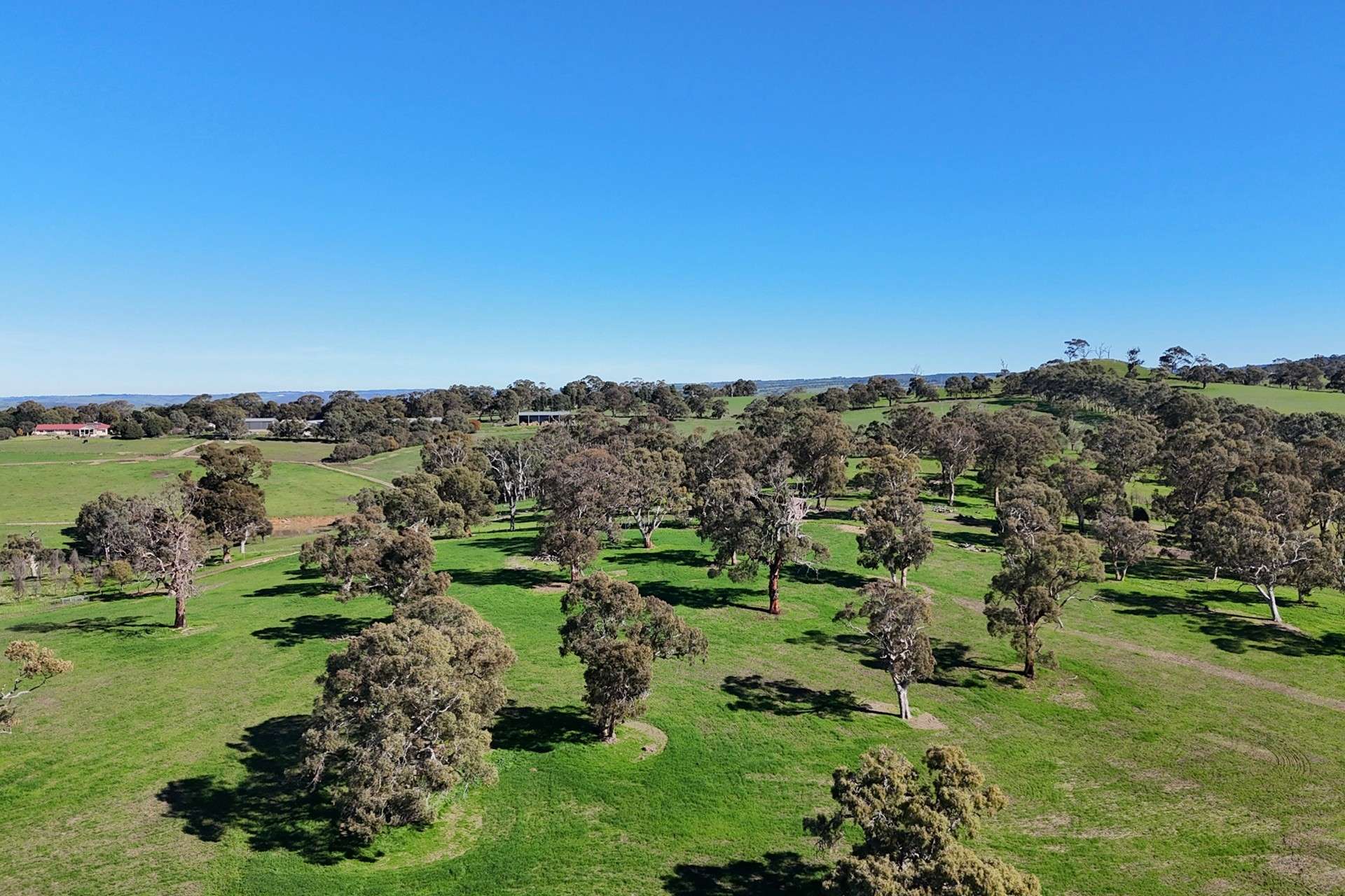 A21 Sunnydale Road, Strathalbyn For Sale by Farmbuy.com - image 25