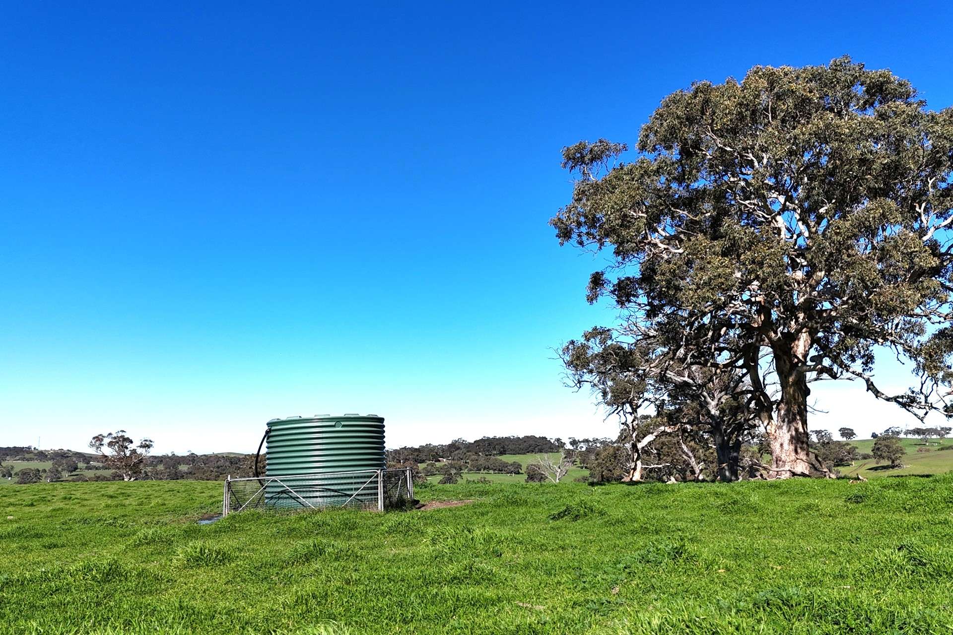 A21 Sunnydale Road, Strathalbyn For Sale by Farmbuy.com - image 15