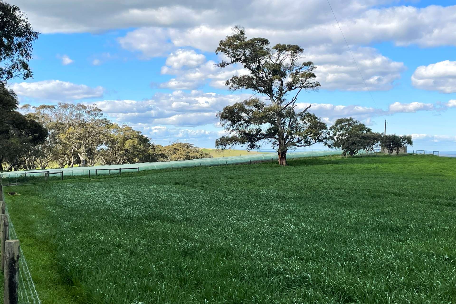 A21 Sunnydale Road, Strathalbyn For Sale by Farmbuy.com - image 30