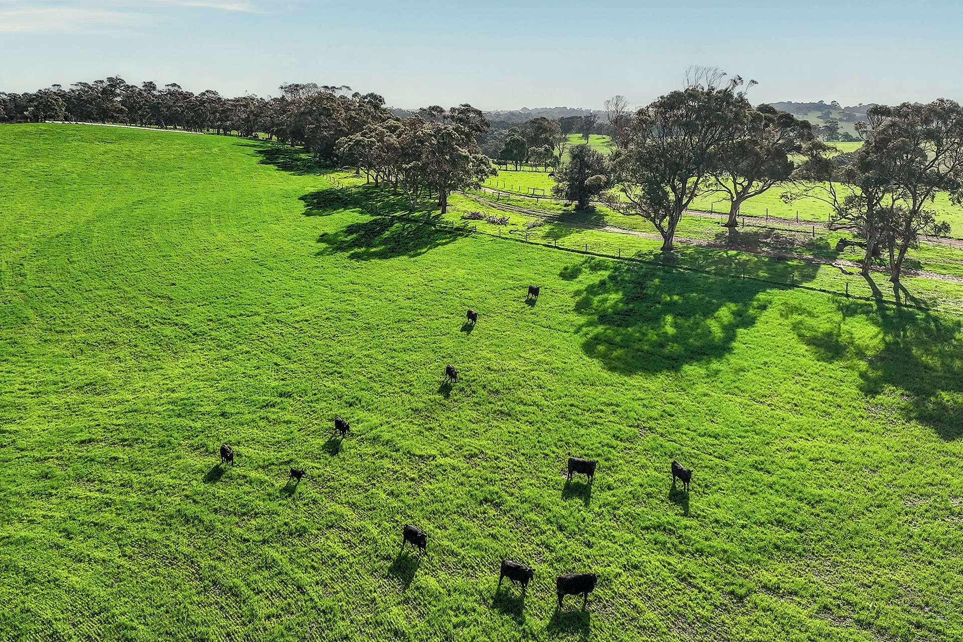 A21 Sunnydale Road, Strathalbyn For Sale by Farmbuy.com - image 12