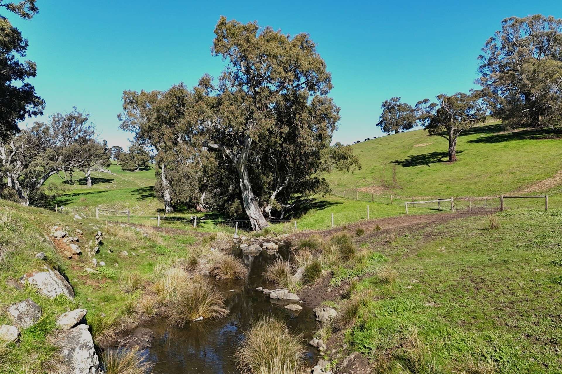 A21 Sunnydale Road, Strathalbyn For Sale by Farmbuy.com - image 23